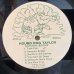 画像2: Hound Dog Taylor And The HouseRockers / Natural Boogie (2)