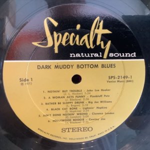 画像2: VA / Dark Muddy Bottom Blues