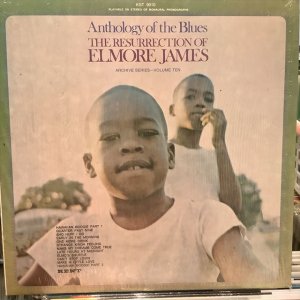 画像1: Elmore James / The Resurrection Of Elmore James