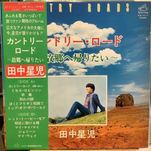 画像1: 田中星児 / カントリー・ロード