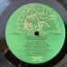 画像2: Hound Dog Taylor And The HouseRockers / Natural Boogie (2)