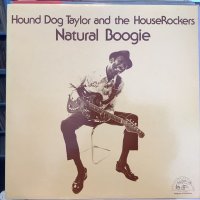 Hound Dog Taylor And The HouseRockers / Natural Boogie