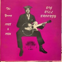 Big Bill Broonzy / The Young Big Bill Broonzy 1928-1936