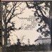 画像1: VA / The Mississippi Blues No. 2 (The Delta 1929-1932) (1)