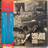 Big Joe Williams / Tough Times
