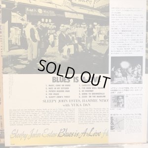 画像2: Sleepy John Estes, Hammie Nixon With 憂歌団 / Blues Is A-Live