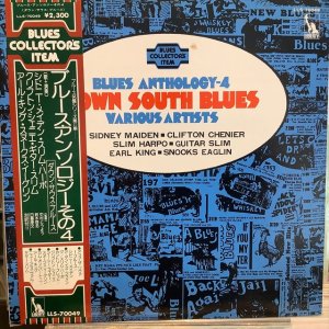 画像1: VA / Blues Anthology-4 Down South Blues