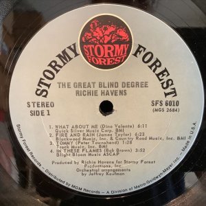 画像2: Richie Havens / The Great Blind Degree