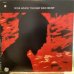 画像1: Richie Havens / The Great Blind Degree (1)