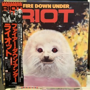 画像1: Riot / Fire Down Under