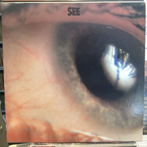 画像1: シルバー・スターズ / See