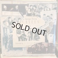 The Beatles / Anthology 1
