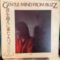 バズ / 君を迎えに来たよ