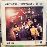 赤い鳥 / 忘れていた朝