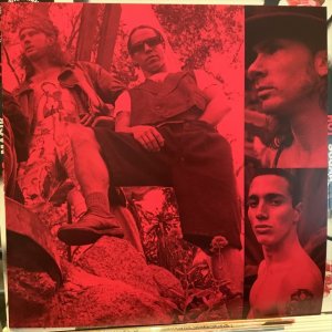 画像3: Red Hot Chili Peppers / Blood Sugar Sex Magik