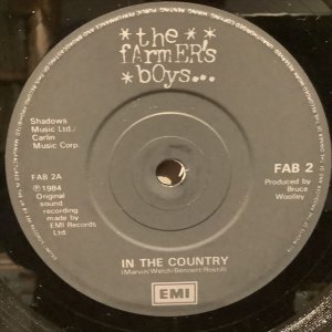 画像2: The Farmer's Boys / In The Country