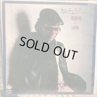 布施明 / カルチェラタンの雪