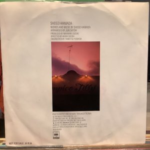 画像2: 浜田省吾 / いつわりの日々