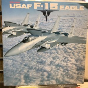 画像1: OST / Super Fighter USAF F-15 Eagle
