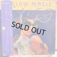 イエロー・マジック・オーケストラ / イエロー・マジック・オーケストラ