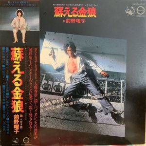 画像1: 前野曜子 / 蘇える金狼