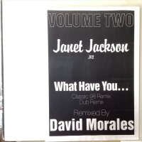 Janet Jackson ‎/ What Have You... (Remix)