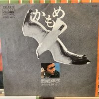 西郷輝彦 / かもめ