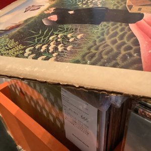 画像2: Soft Machine / Bundles