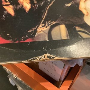 画像2: Public Image Limited / The Flowers Of Romance