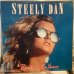 画像1: Steely Dan / The Very Best Of Steely Dan - Reelin' In The Years (1)