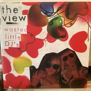 画像1: The View / Wasted Little DJ's