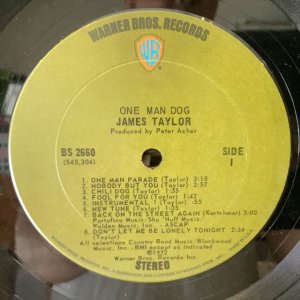 画像2: James Taylor / One Man Dog