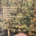 画像2: The Allman Brothers Band / Brothers And Sisters (2)
