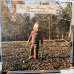 画像1: The Allman Brothers Band / Brothers And Sisters (1)