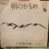 加藤知典 / 朝のかもめ