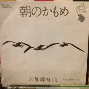 画像1: 加藤知典 / 朝のかもめ