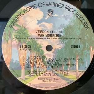 画像2: Van Morrison / Veedon Fleece