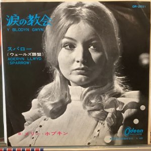 画像1: Mary Hopkin / Y Blodyn Gwyn