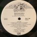 画像2: Pentangle / Reflection (2)