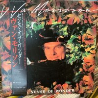 Van Morrison / A Sense Of Wonder
