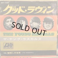 The Young Rascals / Good Lovin'