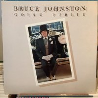 Bruce Johnston / Going Public