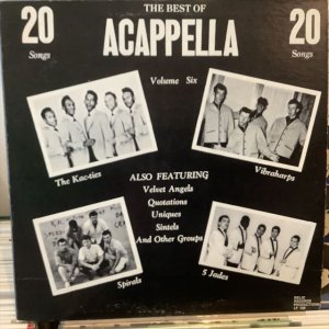 画像1: VA / The Best Of Acappella Volume 6