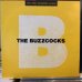 画像1: Buzzcocks / The Peel Sessions Album (1)