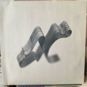 画像1: Shine 2009 / Associates