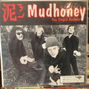 画像1: Mudhoney, Gas Huffer / You Stupid Asshole