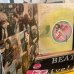 画像2: Tracy Hyde / ロードショー創刊5周年記念盤 (2)