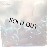 Steely Dan / Katy Lied