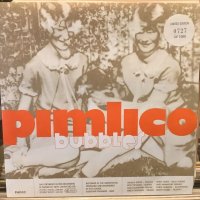 Pimlico / Bubbles