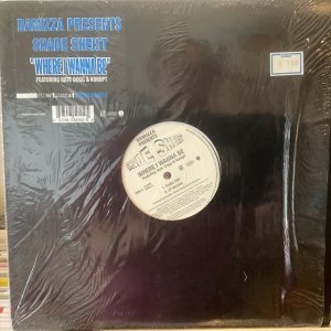 画像1: Damizza Presents Shade Sheist / Where I Wanna Be